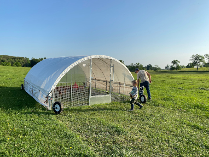 You are currently viewing Silly farm helpers