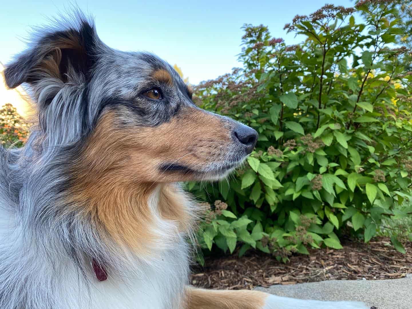 You are currently viewing Farm Store Greeter-In-Training