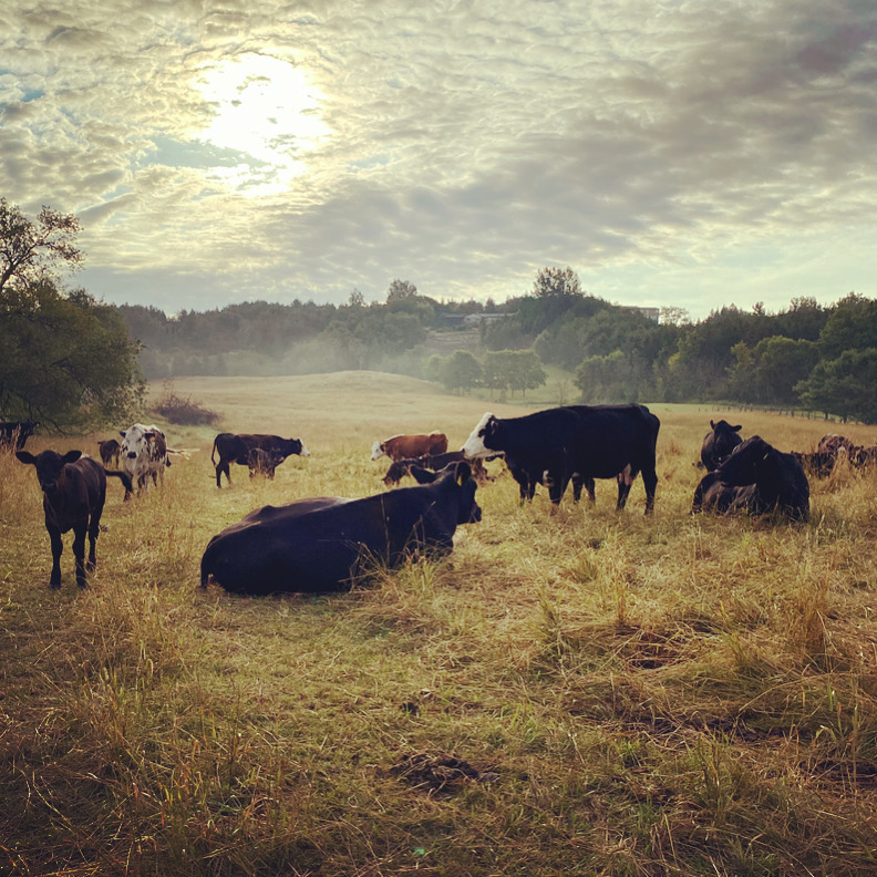 You are currently viewing Calm Before the Storm