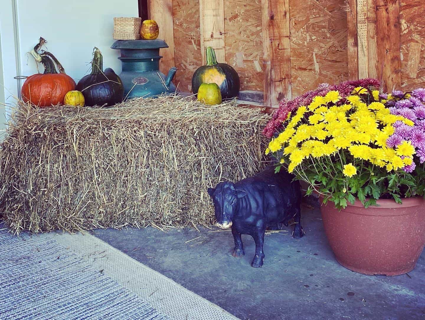 You are currently viewing Summer is Over, Fall is Here!