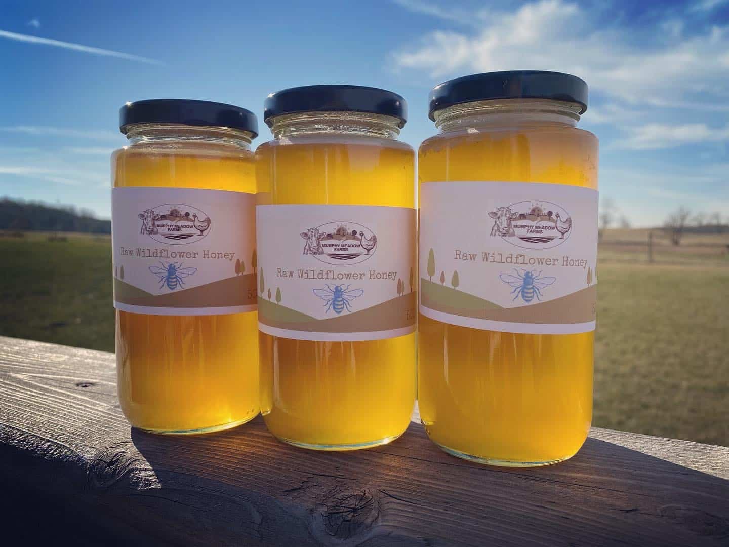 You are currently viewing A spoonful of honey makes everything better!