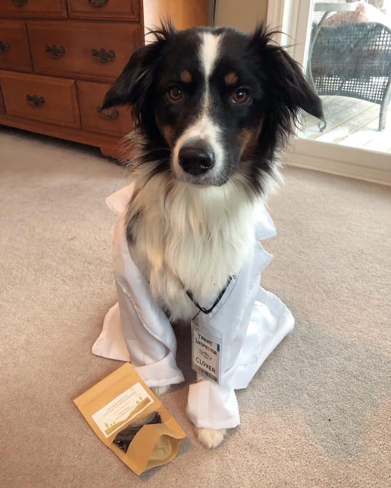 Read more about the article The Beef Liver Treats are reported as “Delicious” in Her Report